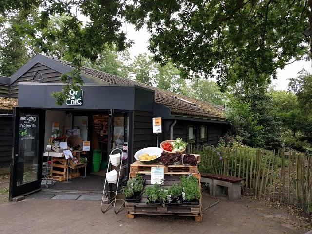 Organic food for you